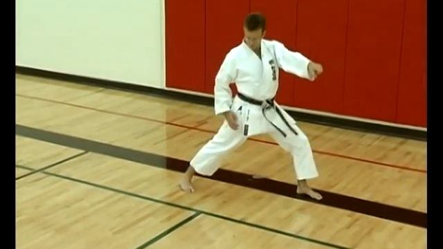Basic Karate Punches_ Oizuki - Front punch_Lunge punch смотреть онлайн