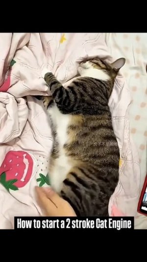 завила 🤣🤣🤣🤣