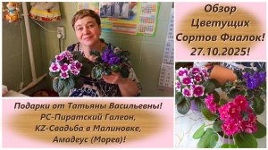 Обзор Цветущих Сортов Фиалок! 27.10.2025! Подарки от Татьяны Васильевны!