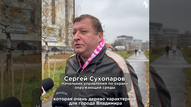 🌳 Во Владимире продолжаются работы по озеленению! смотреть онлайн