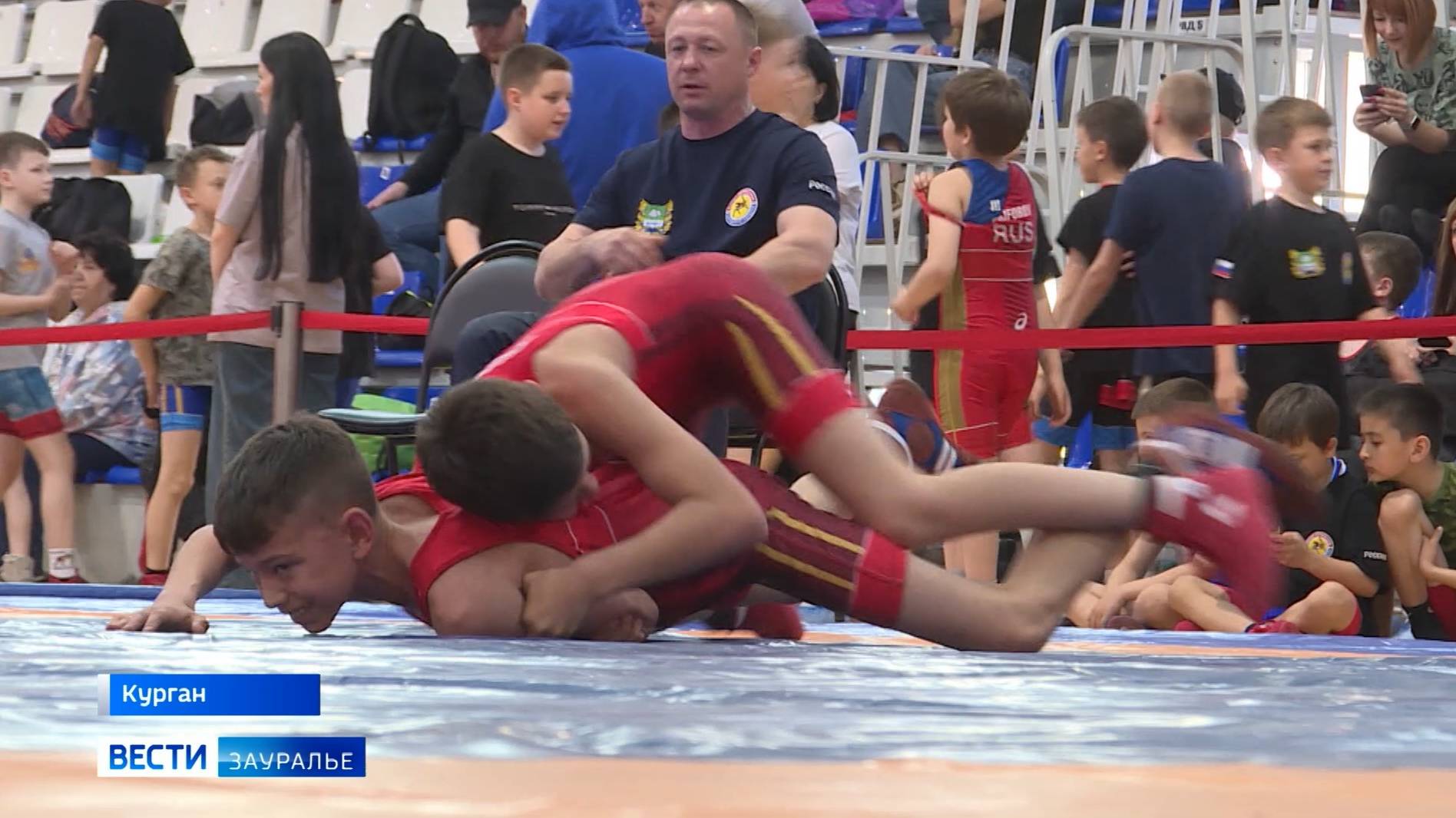 В Кургане состоялся турнир по греко-римской борьбе памяти заслуженного тренера России смотреть онлайн