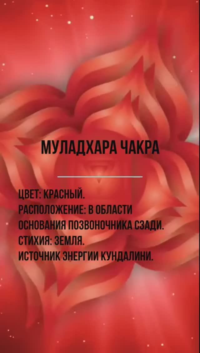 Муладхара чакра - Корень Жизни