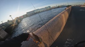 ВЕЧЕРНИЙ СТРИТФИШИНГ #спиннинг 💥