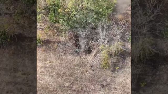 Операторы БПЛА «Группы Феникс» - точный удар