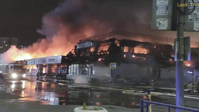 Видеоролик по профилактике коррупции "Коррупция - пожар, сжигающий все на своем пути" смотреть онлайн