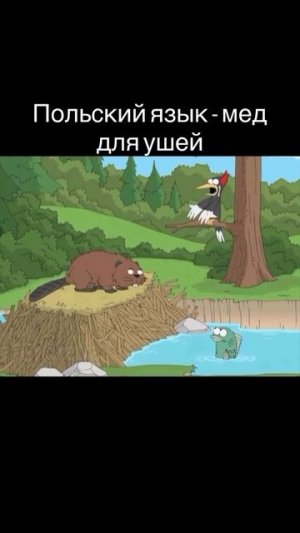 польский 😛🤣