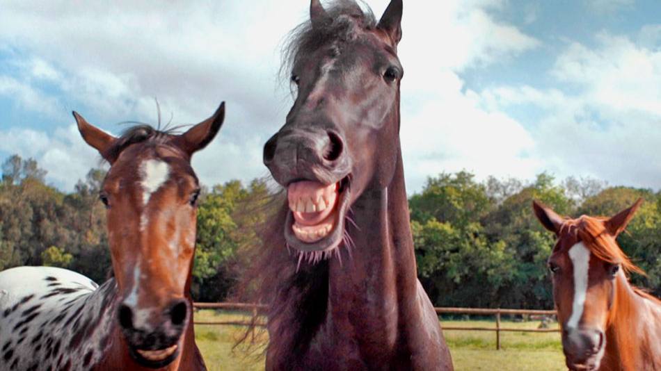 ЛУЧШИЕ ПРИКОЛЫ И МЕМЫ (ПОПРОБУЙ НЕ ЗАСМЕЯТЬСЯ ЧЕЛЛЕНДЖ) - САМАЯ СМЕШНАЯ ПОДБОРКА #169