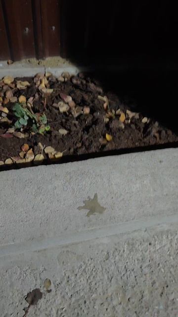 Как защитить бетон на улице ?