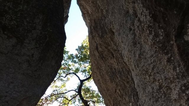 Каралезские сфинксы. 25.10.25. смотреть онлайн