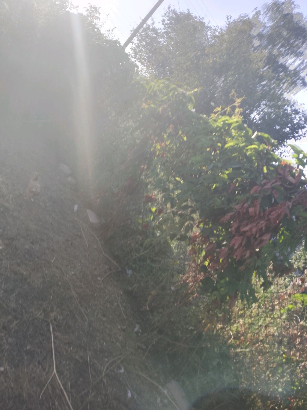 стрим в совхозе