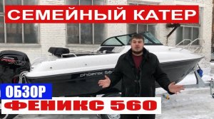Катер Феникс 560. Обзор катера. Семейный катер Phoenix 560. Лодка для путешествий (2019)
