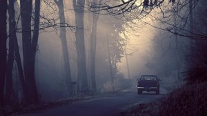 Дорога ко мне...