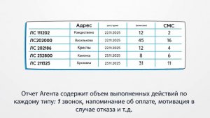 Отчет Агента: содержание и назначение