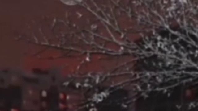 Шлёпа «Белая ночь» смотреть онлайн