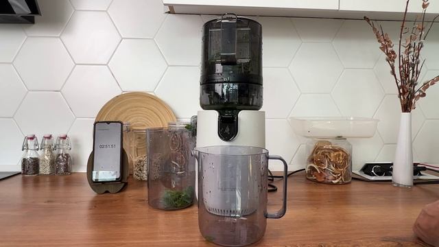 Тест: отжим петрушки в соковыжималке Hurom E50ST смотреть онлайн