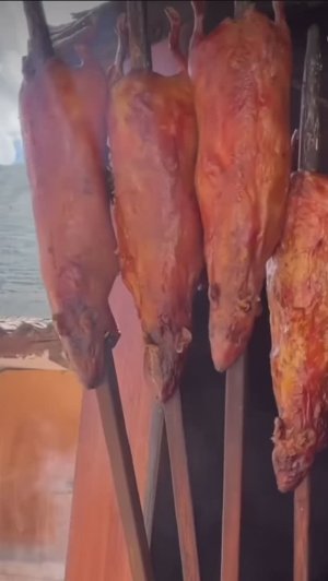 Жареная морская свинка?!