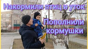 Видео ответ/Накормили тпиц и уток/Пополнили запасы кормушек/