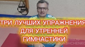 ТРИ ЛУЧШИХ УПРАЖНЕНИЯ ДЛЯ УТРЕННЕЙ ГИМНАСТИКИ