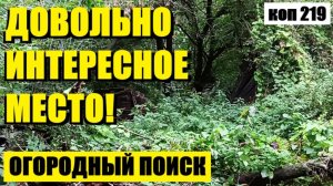 МЕСТО НЕ ПЕРЕСТАЁТ УДИВЛЯТЬ НАХОДКАМИ. коп 219