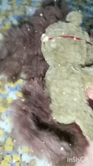 Бешеные крючки 6.1 Табун 5  🐎