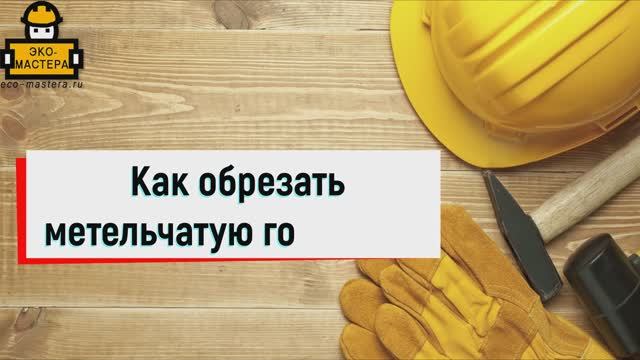 Как обрезать гортензию