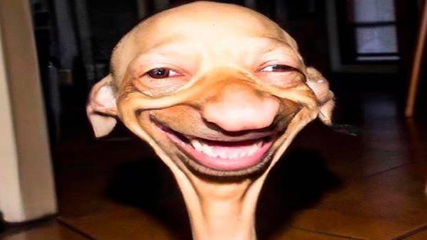 ЛУЧШИЕ ПРИКОЛЫ И МЕМЫ (ПОПРОБУЙ НЕ ЗАСМЕЯТЬСЯ ЧЕЛЛЕНДЖ) - САМАЯ СМЕШНАЯ ПОДБОРКА #158