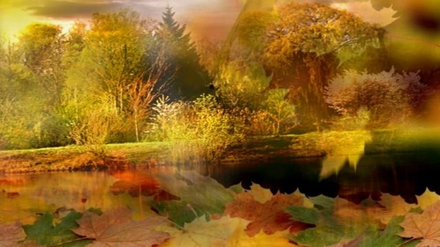 ВИДЕО ФОН № 19