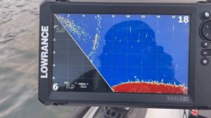 Игл еуе: структура и поиск рыбы.