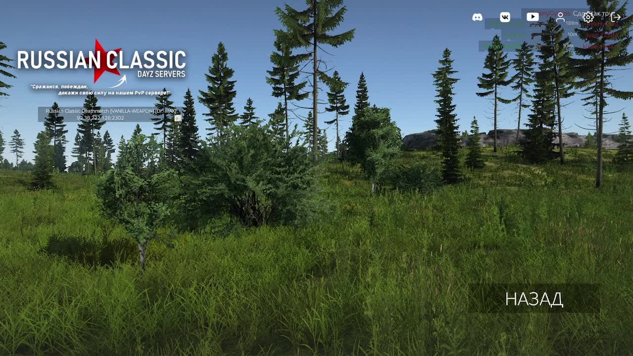 DayzDM