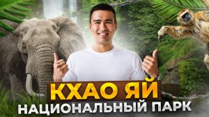 Кхао Яй — сафари, дикие слоны и ночь в джунглях Таиланда