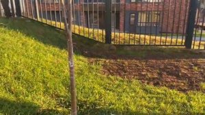 играем в прятки во дворе//лунакотик