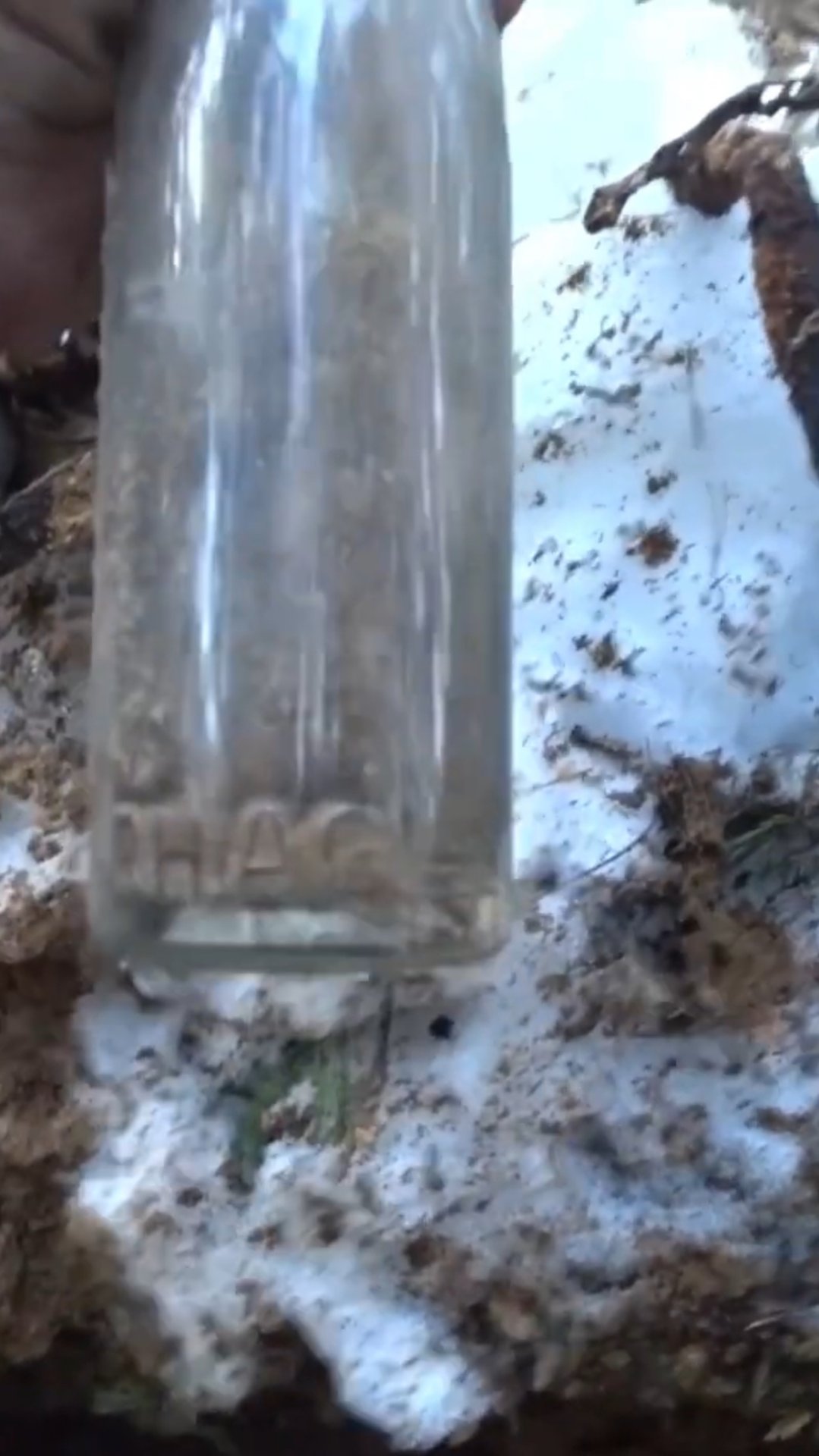 Коп по войне. Находки со дна немецкого блиндажа #digging #ww2 #shortsvideo #shortsrutube смотреть онлайн