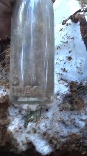 Коп по войне. Находки со дна немецкого блиндажа #digging #ww2 #shortsvideo #shortsrutube