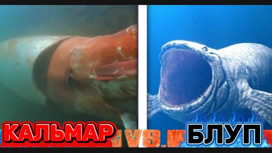 Блуп ПРОТИВ Гигантского Кальмара. Битва в бездне, о которой слагают легенды смотреть онлайн