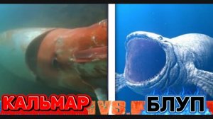 Блуп ПРОТИВ Гигантского Кальмара. Битва в бездне, о которой слагают легенды