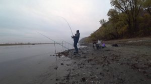 выезд на леща с берега на Дон #лещ #осень #природа #рыбалка #рыба