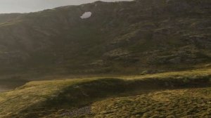 Путешествие к центру аномалий.  Часть 2 . "Гости"