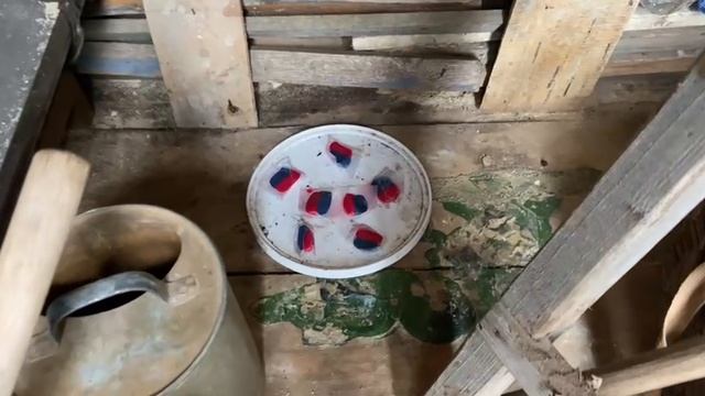 Гремучая смесь, отрава от крыс и мышей. Продолжает работать... смотреть онлайн