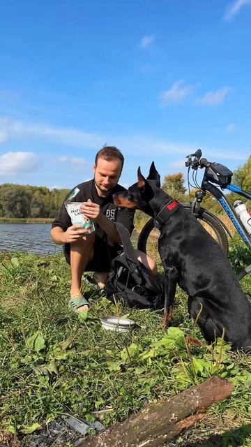 Погуляли 😍 смотреть онлайн