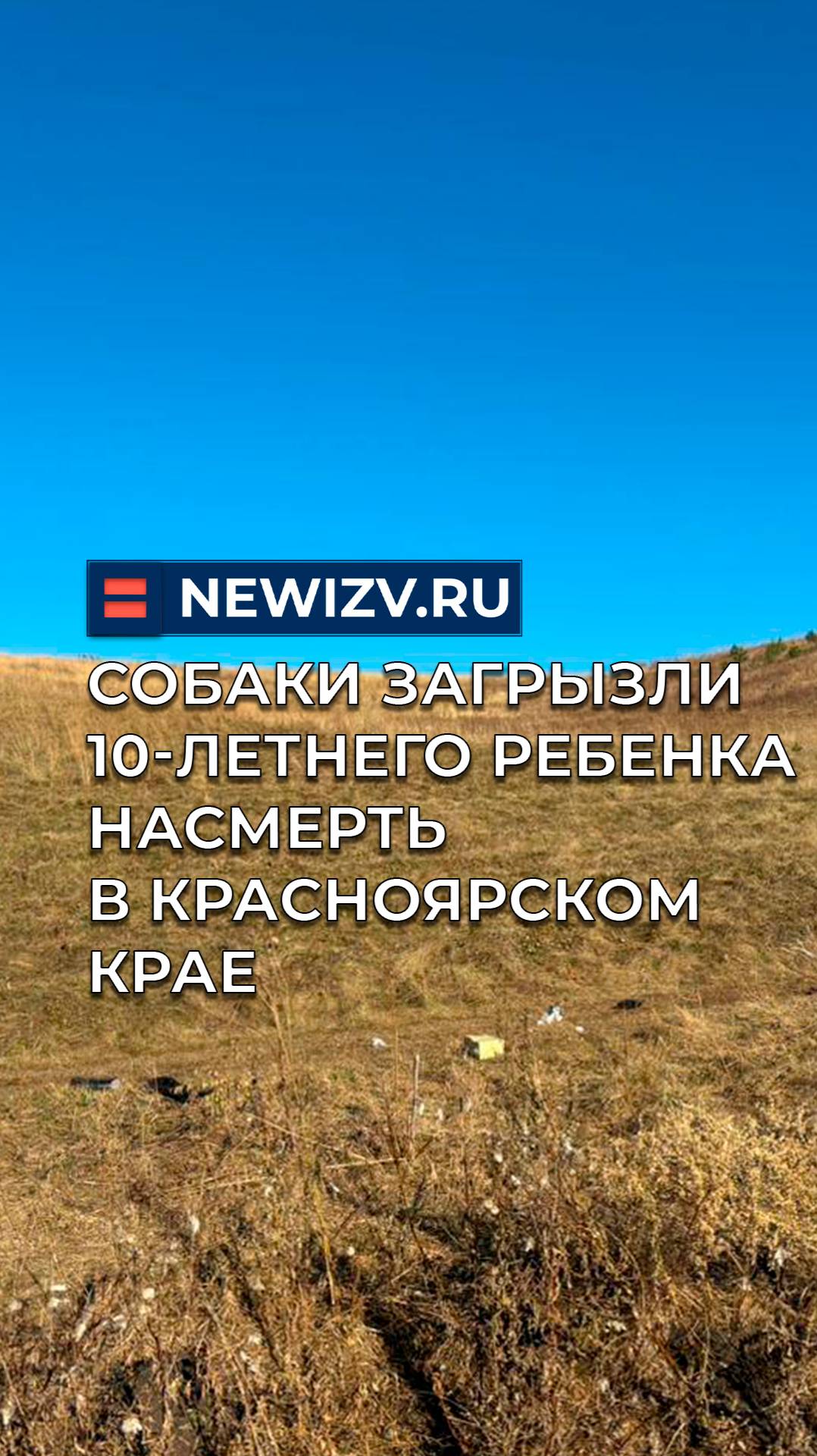 Собаки загрызли 10-летнего ребенка насмерть в Красноярском крае смотреть онлайн