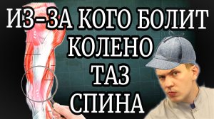 Вылечи эту мышцу и БОЛЬ в КОЛЕНЯХ, области ТАЗОБЕДРЕННЫХ суставов и даже ПОЯСНИЦЫ уйдёт