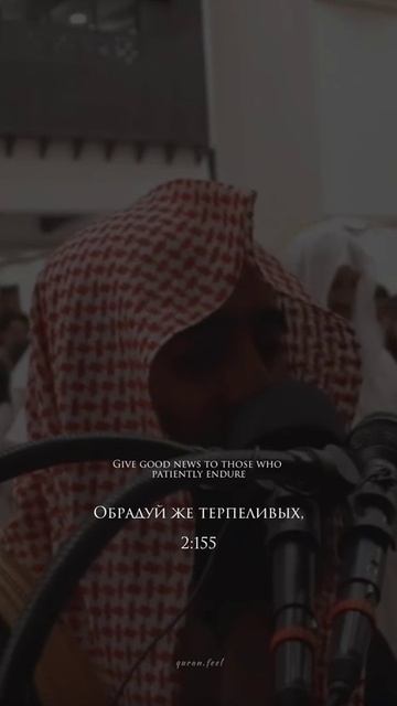 Прекрасныйнашид.mp4 смотреть онлайн