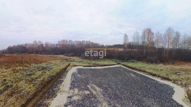 10031372 смотреть онлайн
