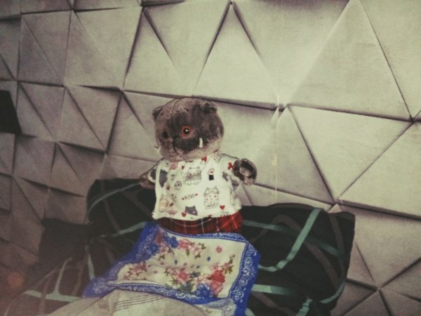 Стрим с басиком ❤️🇷🇺