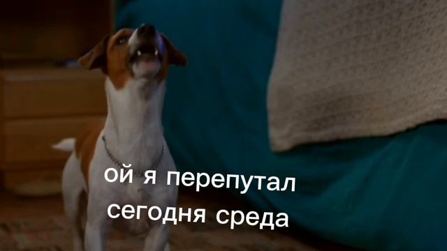 пов: школа смотреть онлайн