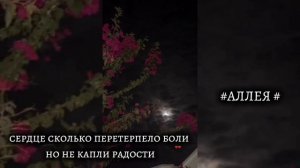 🥀душэвно мелодия из турецкого сериала последнее лето ❤️🩹🥀