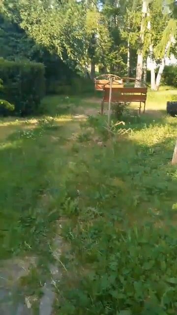 Гуляем с мужем смотреть онлайн