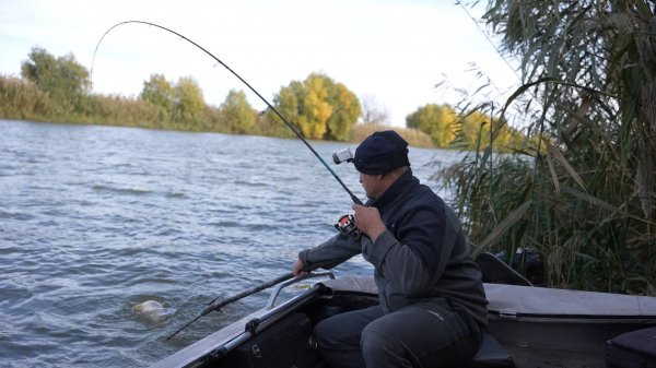 БЕШЕНЫЙ КЛЁВ САЗАНА и РАЗВЕДКА ПО ЩУКЕ. НА РЫБАЛКУ С РАЗВЕДКОЙ. День прошёл не зря, самый низ Волги