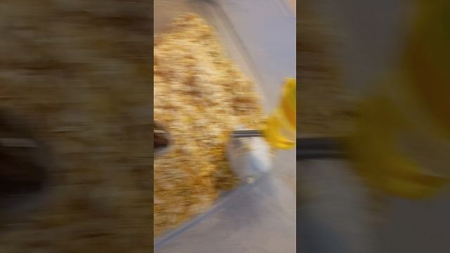 хомяки три испытания.mp4 смотреть онлайн