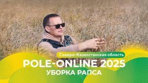 Уборка рапса в Северо-Казахстанской области | Pole-Online 2025 #рапс #гербицид #фунгицид